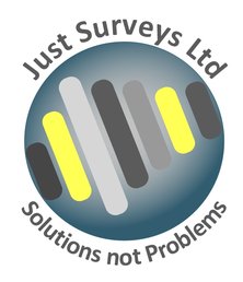 Just Surveys Ltd Solutions not Problems